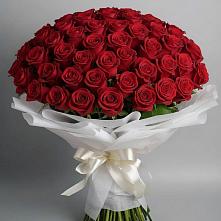 Букет 101 Красная роза Блэк Мэджик в Опарино