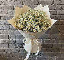 Букет цветов из:  Ромашки в Опарино