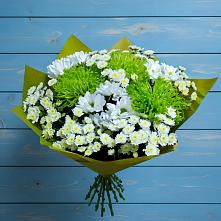 Букет цветов из:  Хризантемы #REPLACE_PRED# Опарино