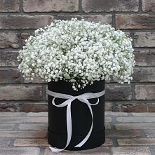 Цветочная композиция из Гипсофила в шляпной коробке в Опарино